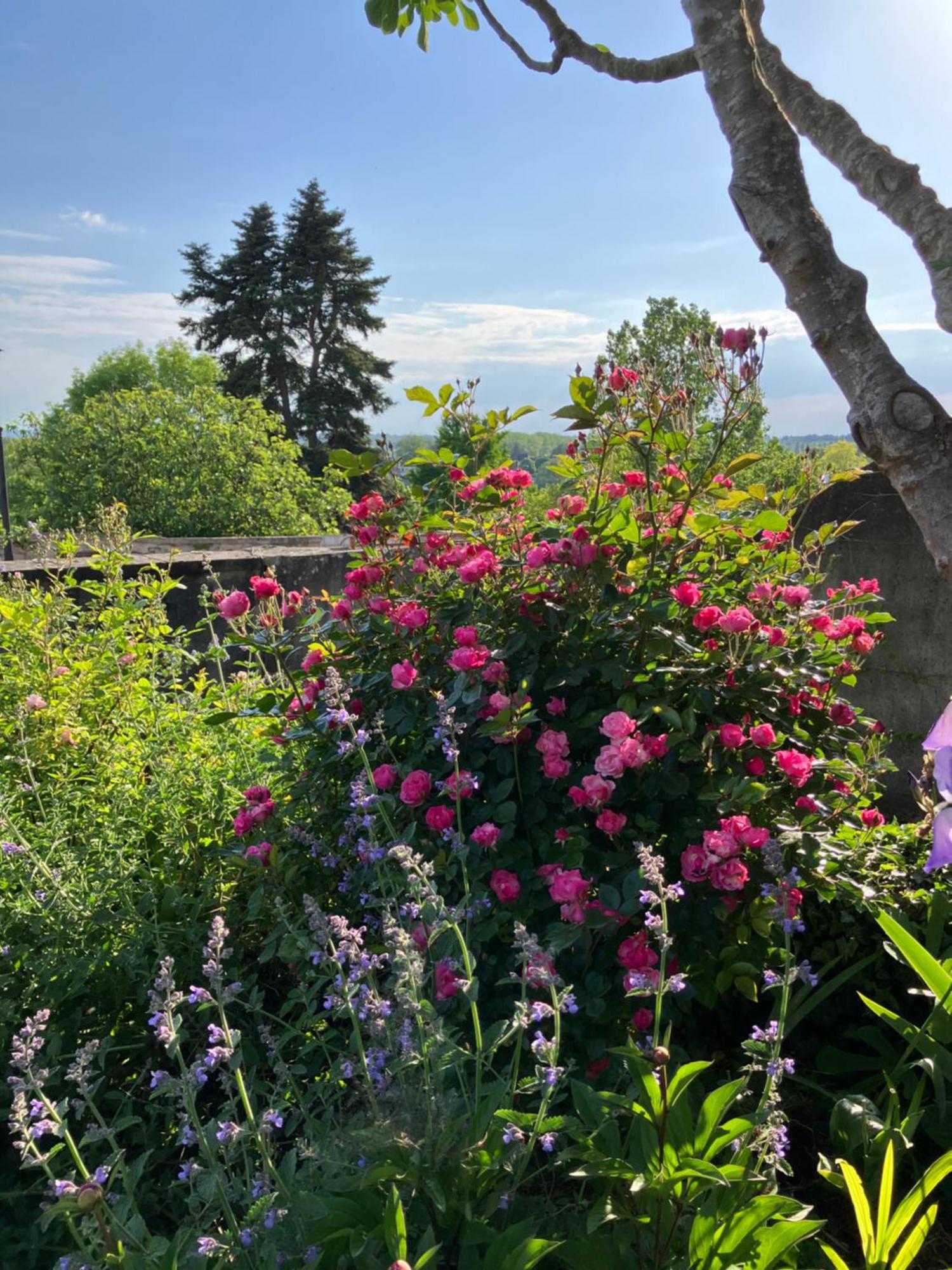 La Villa Lauvray Vetheuil Bagian luar foto